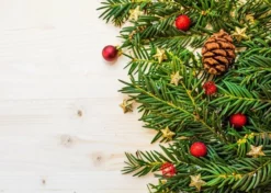 Merkloos Papieren Placemats Onderleggers "Kerstmis Takken" 50 Stuks (30x42cm)