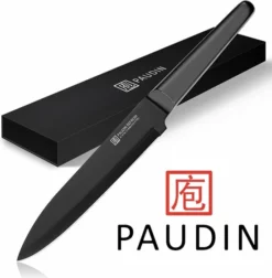 PAUDIN RC3 Professioneel RVS Keramisch Gecoat Vleesmes 20 Cm - Vlijmscherp Keukenmes Gemaakt Van Hoogwaardig Roestvast Duits Carbonstaal - Zwarte Non-Stick Keramische Coating - Extra Hygiënisch